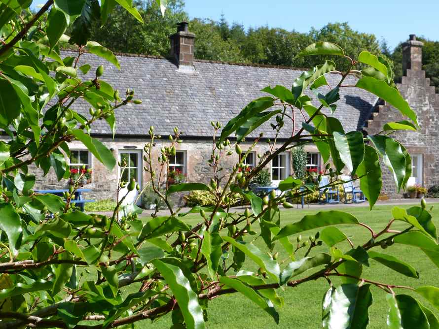 Barmore Cottages